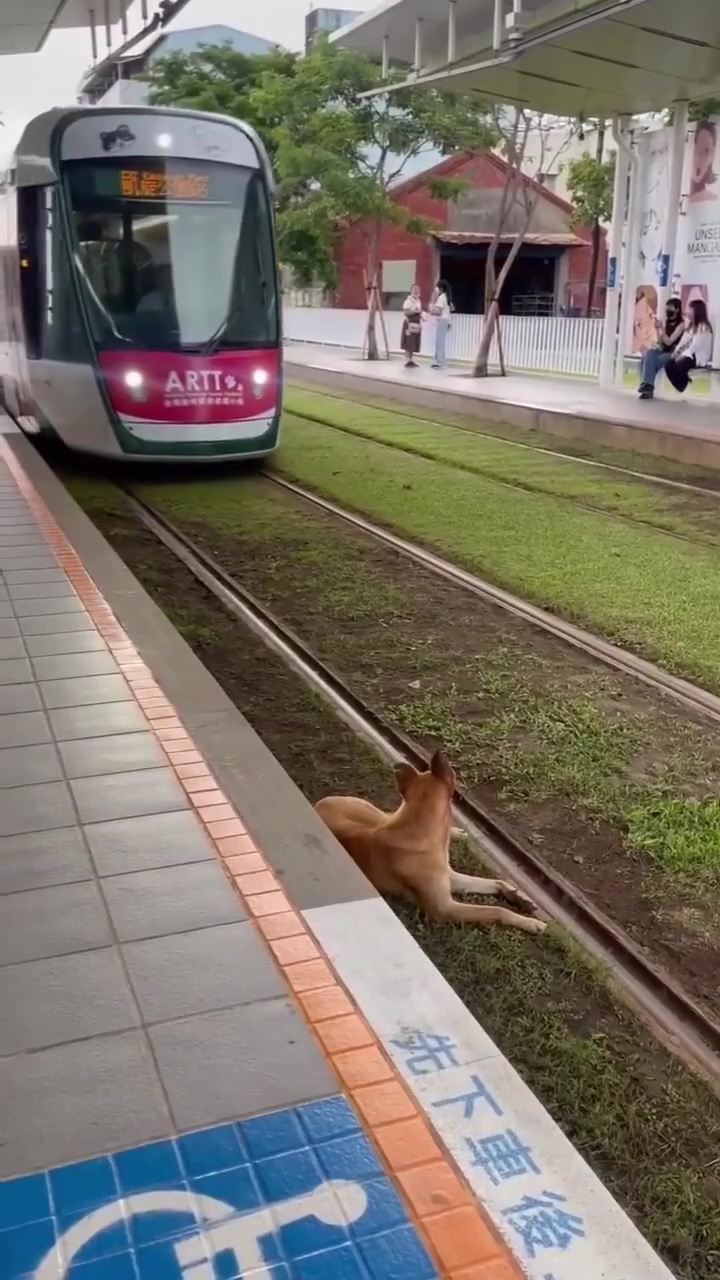 DUMPERT Ja Leuk Zo N Tram