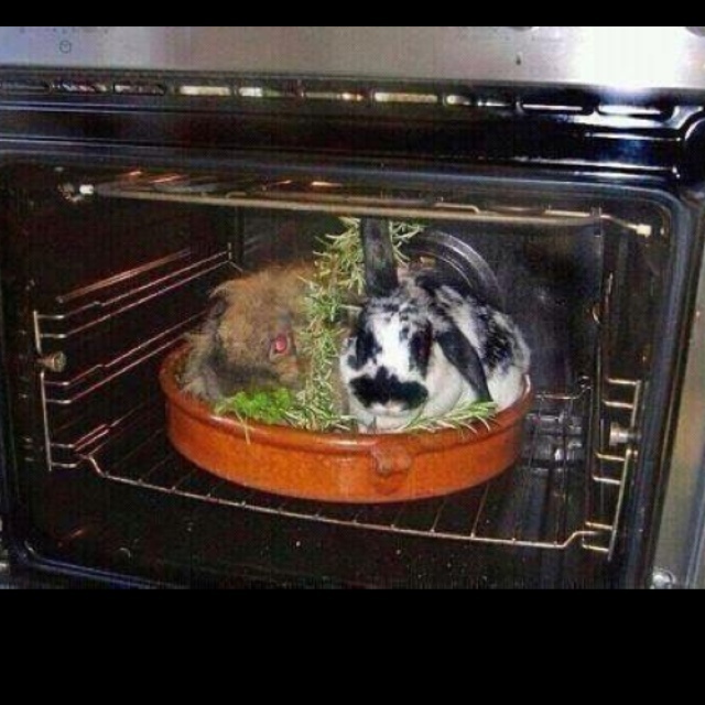 wat eten we vanavond