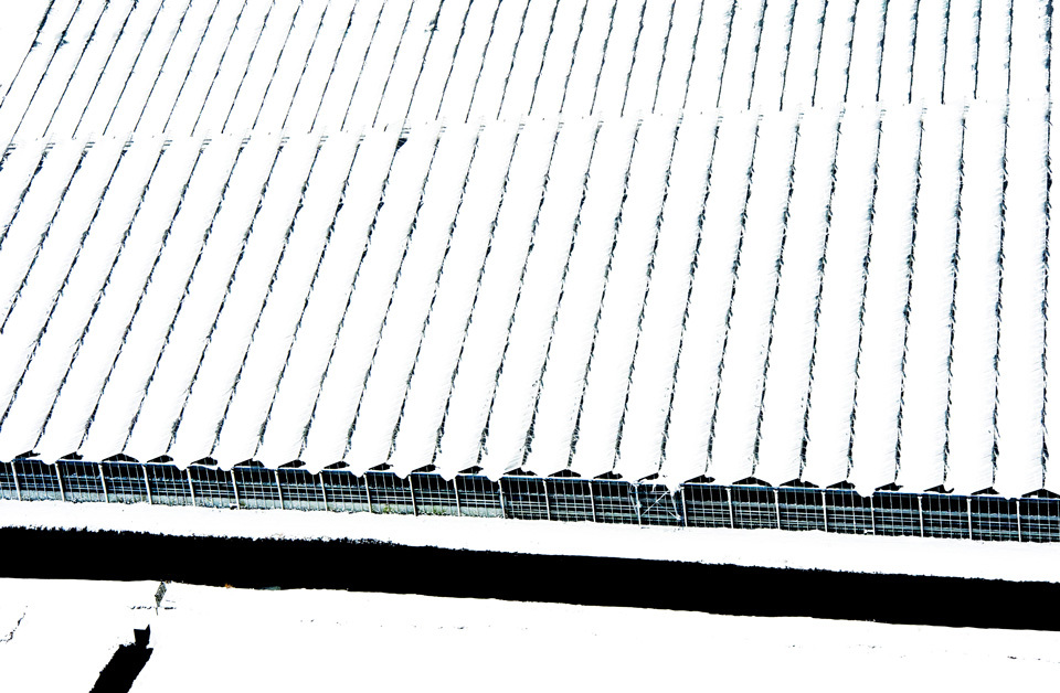 ANP_22115455.jpg