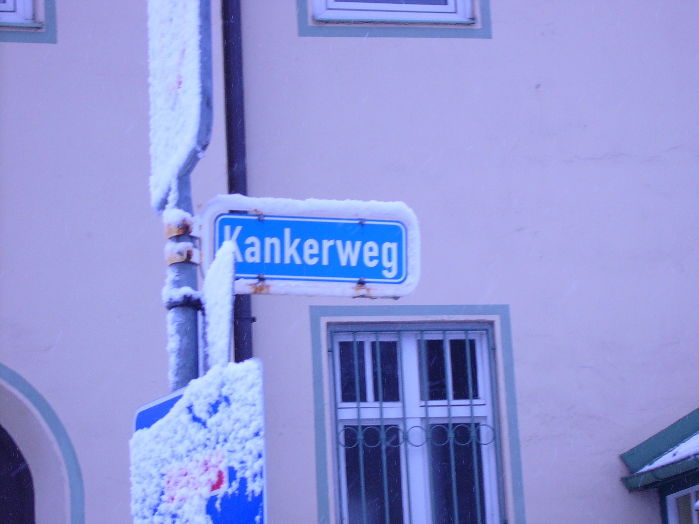 d3f494c8_P1020100.JPG