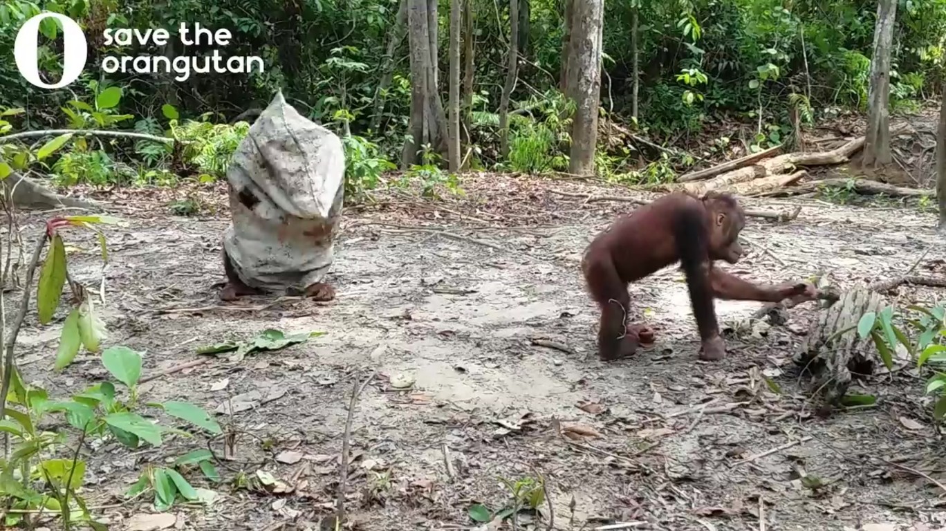 Dumpert Ik Ben Een Spook