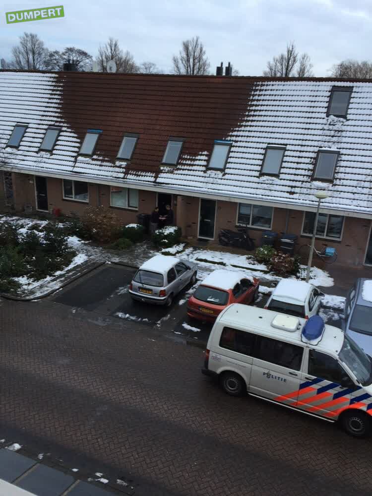 Zoek de tuinierdert.