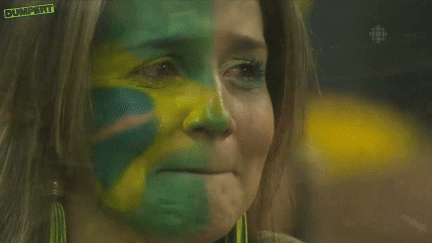 Brazilie gesloopt