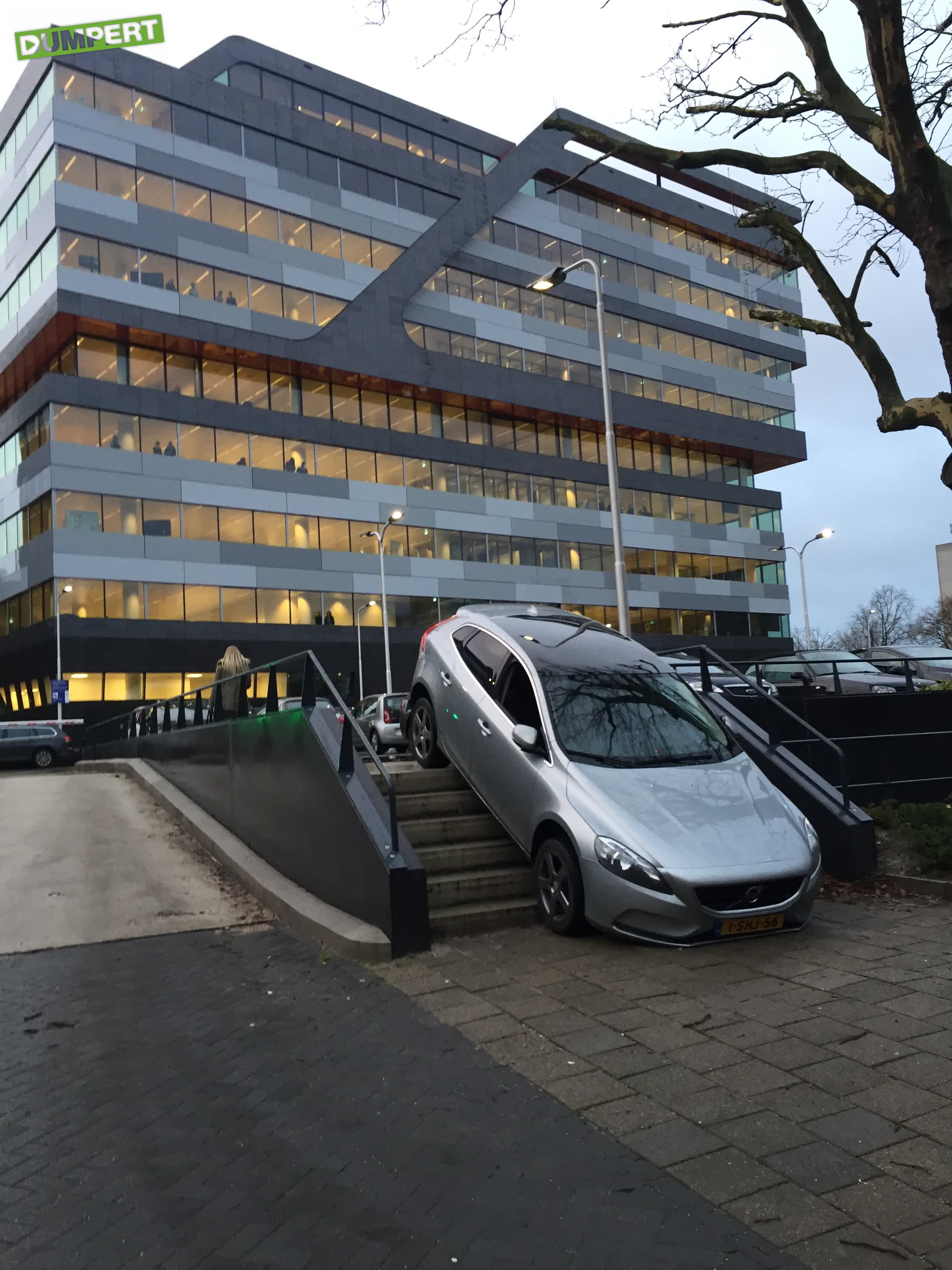 Parkeerskills