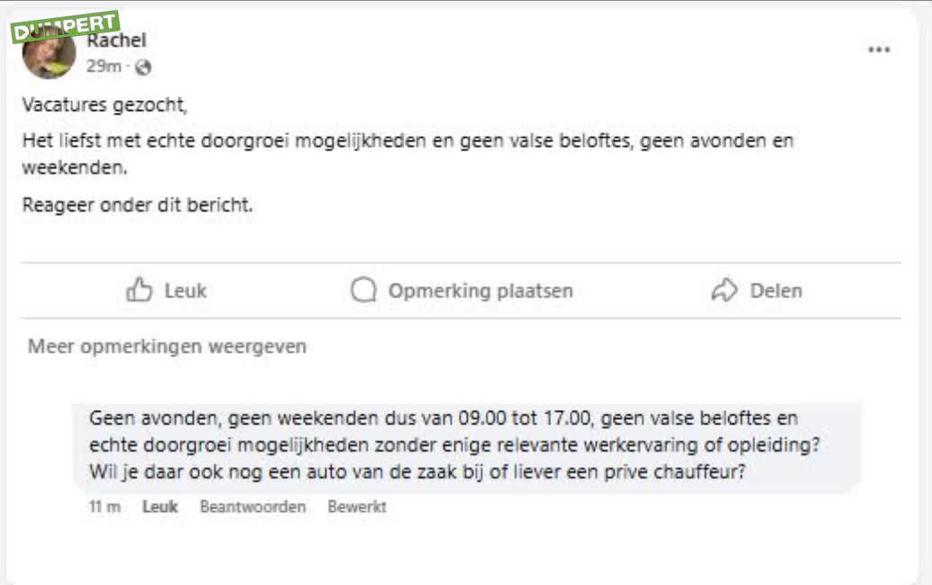 Rachel zoekt een baan