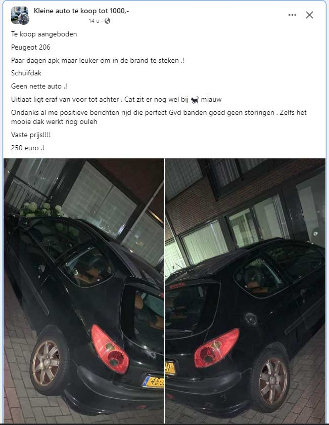 DUMPERT Auto te koop 250E