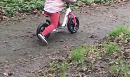 Loopfiets gejat IJsselstein