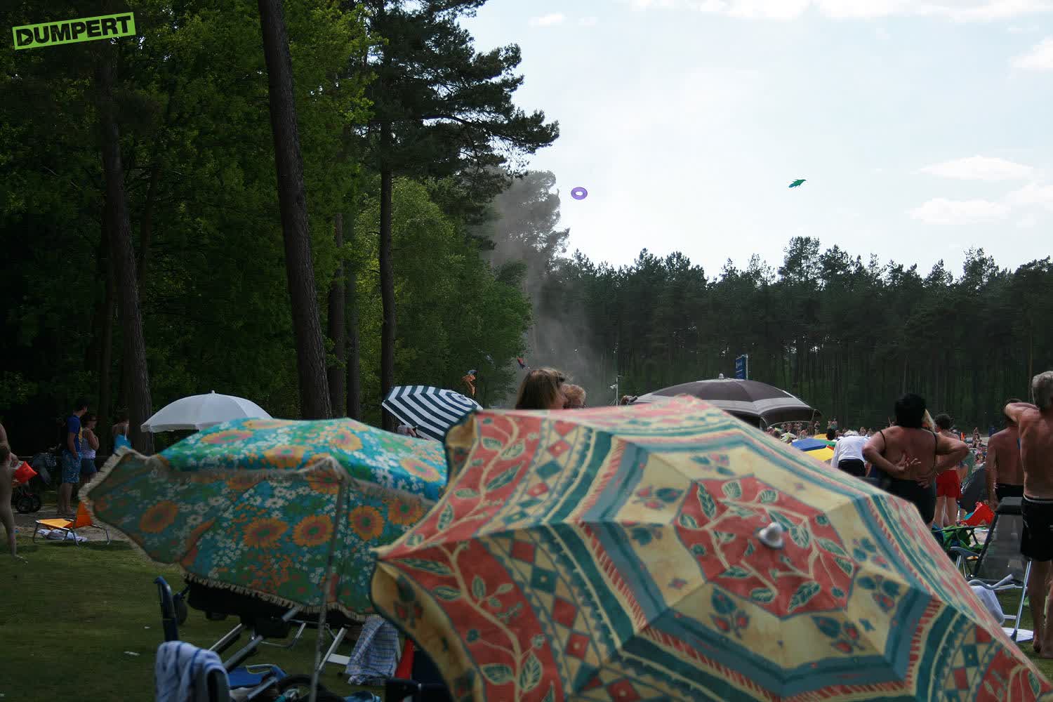 Wervelwind grijpt paarse krokodil!