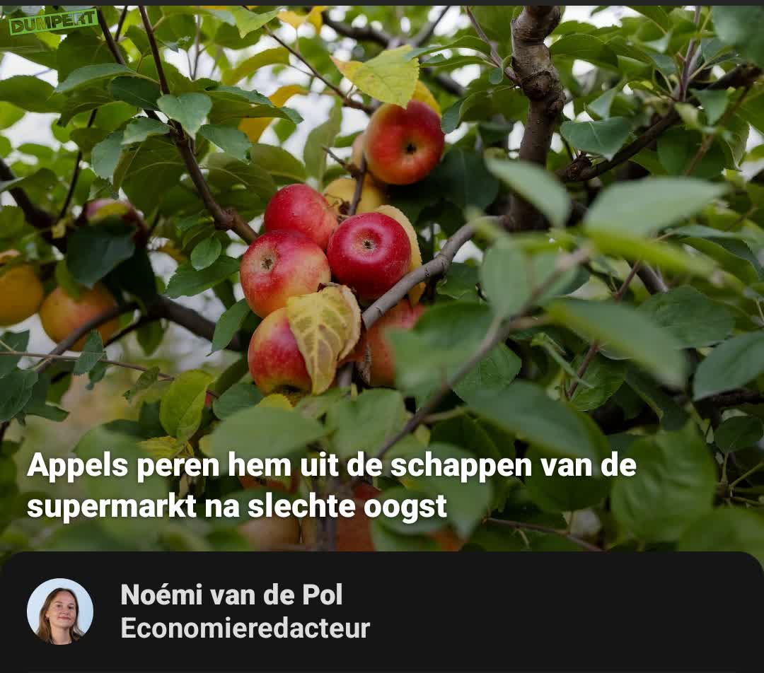 De stagiair had de lolbroek weer aan