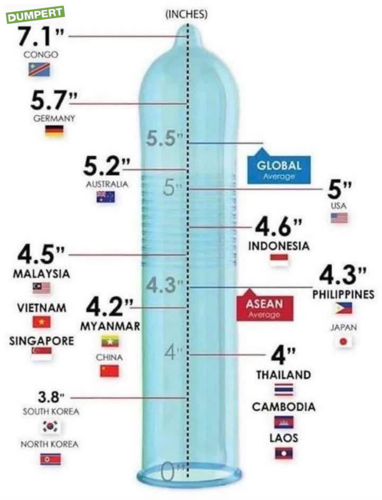 Gemiddelde penislengte wereldwijd