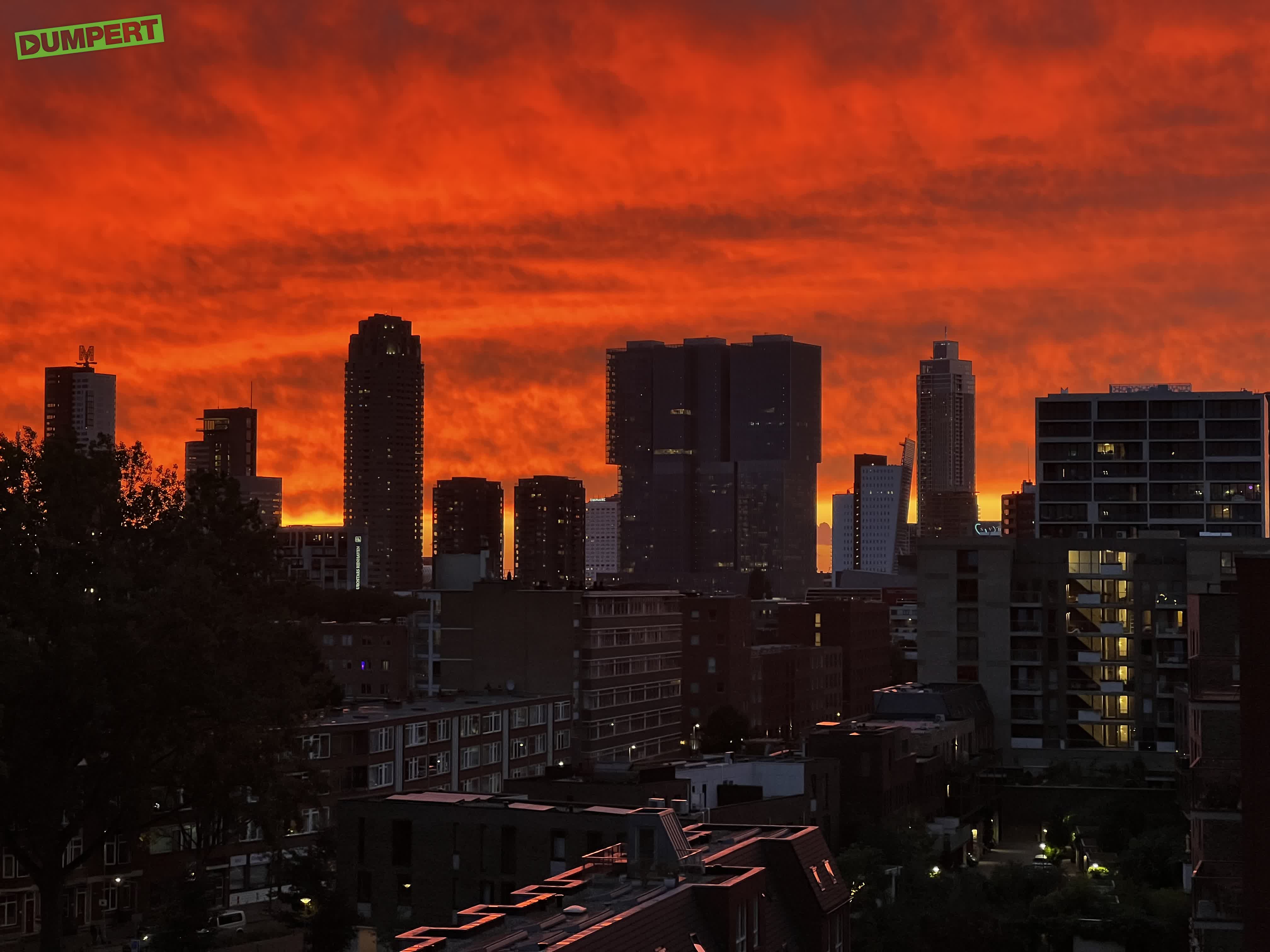 Vanavond in Rotterdam