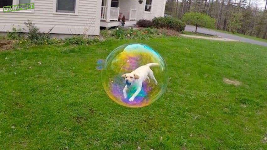 Timing is alles
