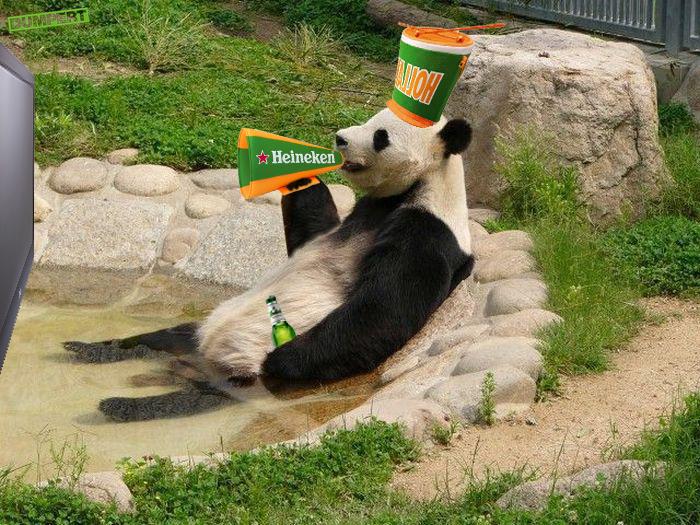 Panda ook WK Ready