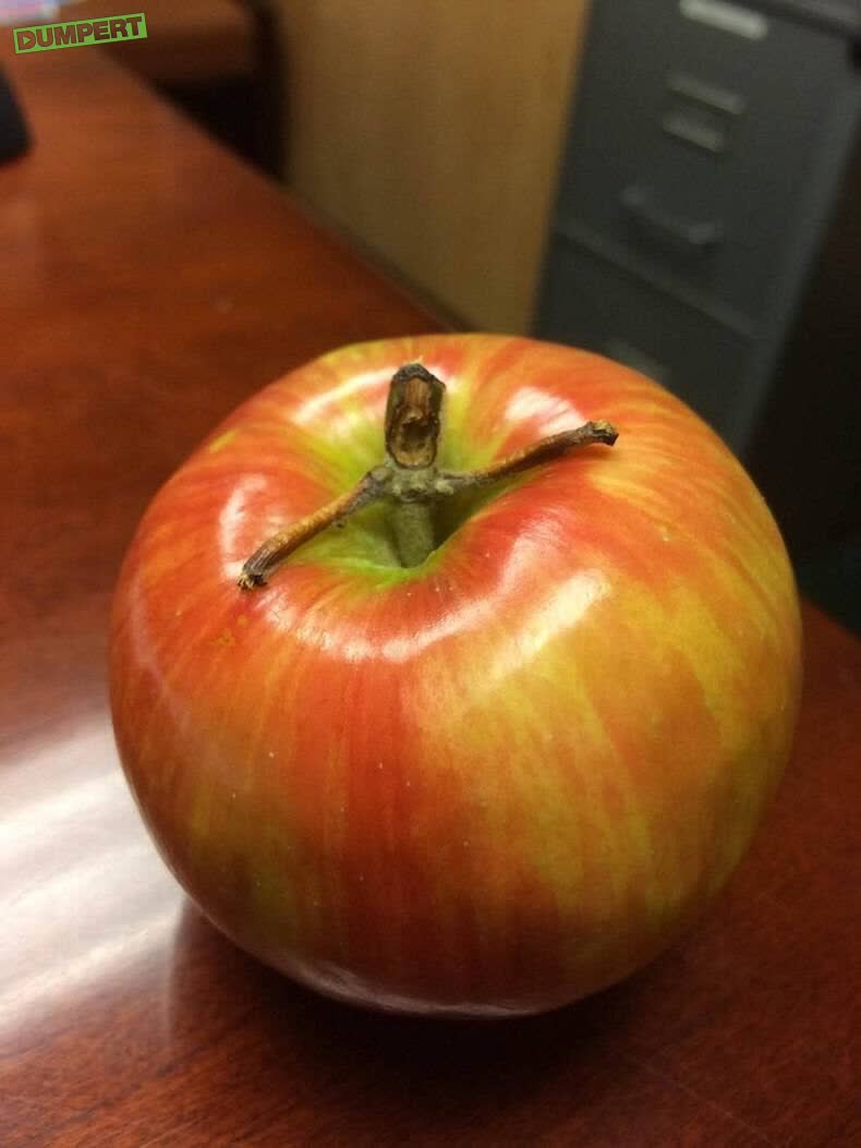 AAaaargh