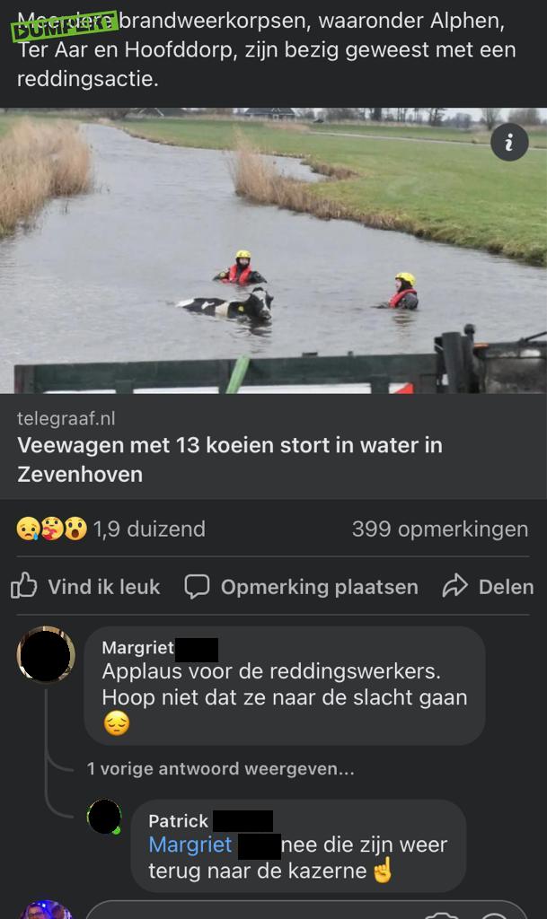 Brandweer redt koeien te water