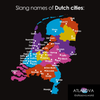 Straattaalnamen voor Nederlandse steden