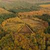 Herfst in Nederland