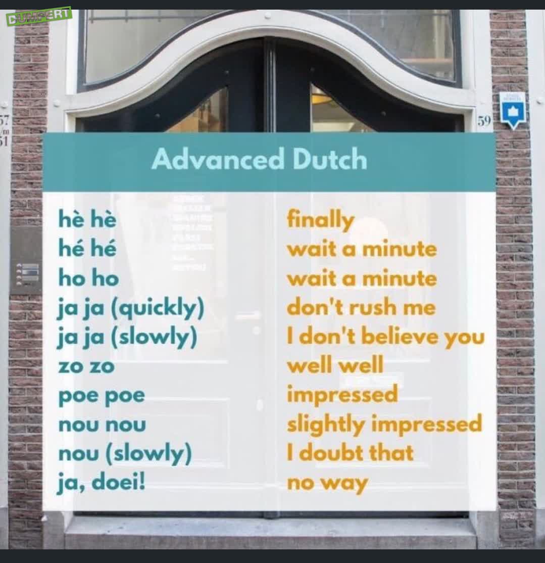 Nederlands is best lastig