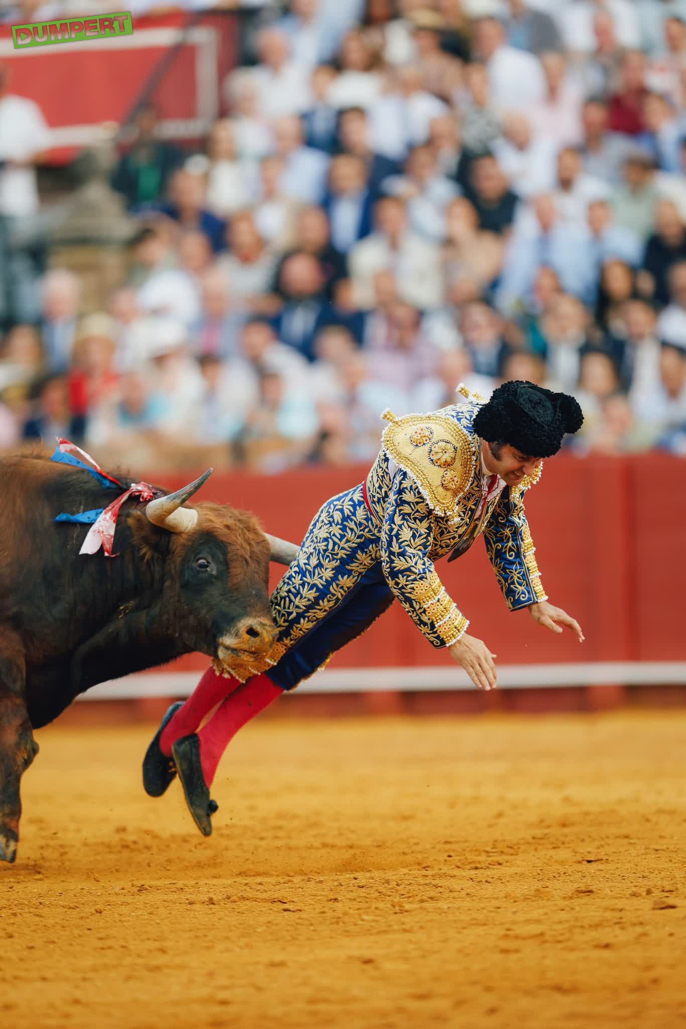 Stierenvechter in Sevilla zwaargewond na stier in z'n kont