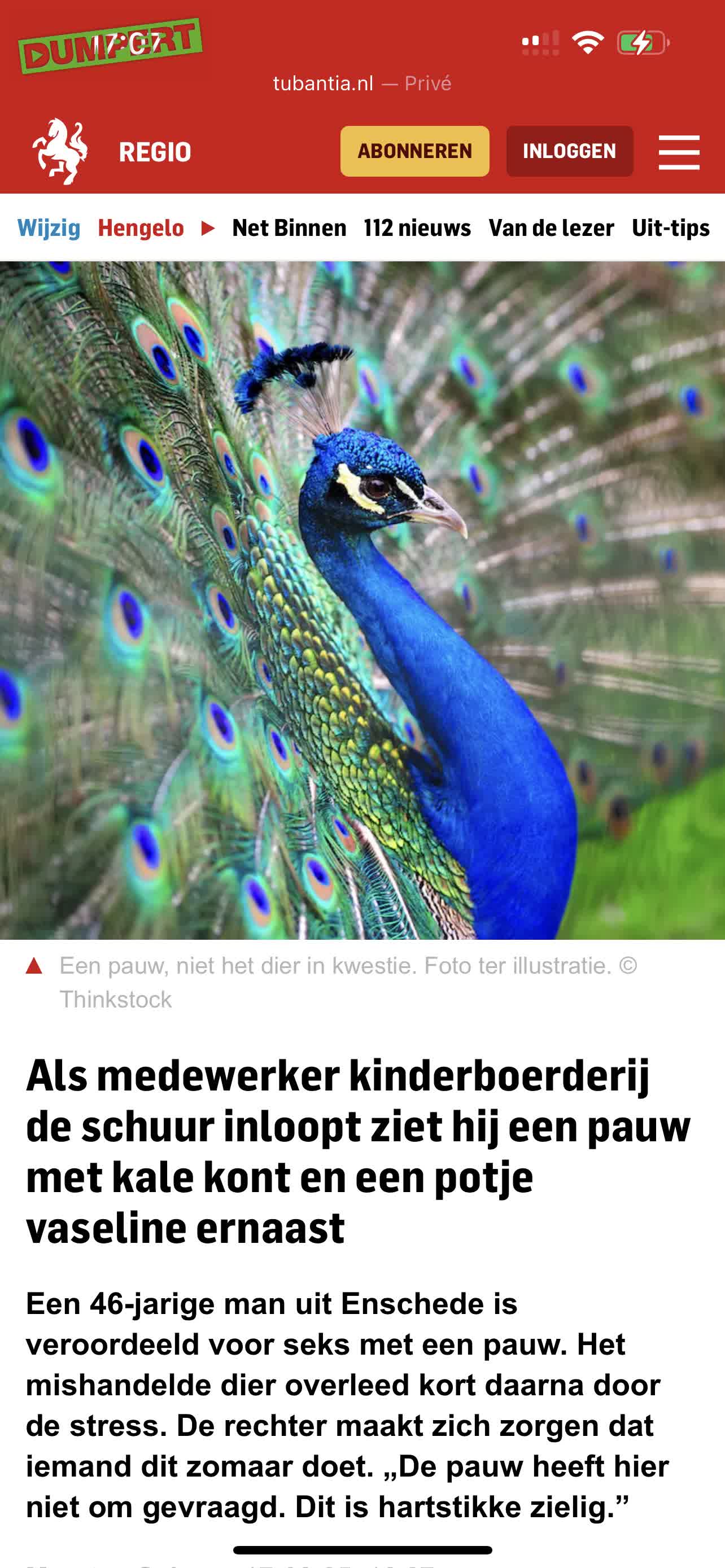 Trots als een pauw