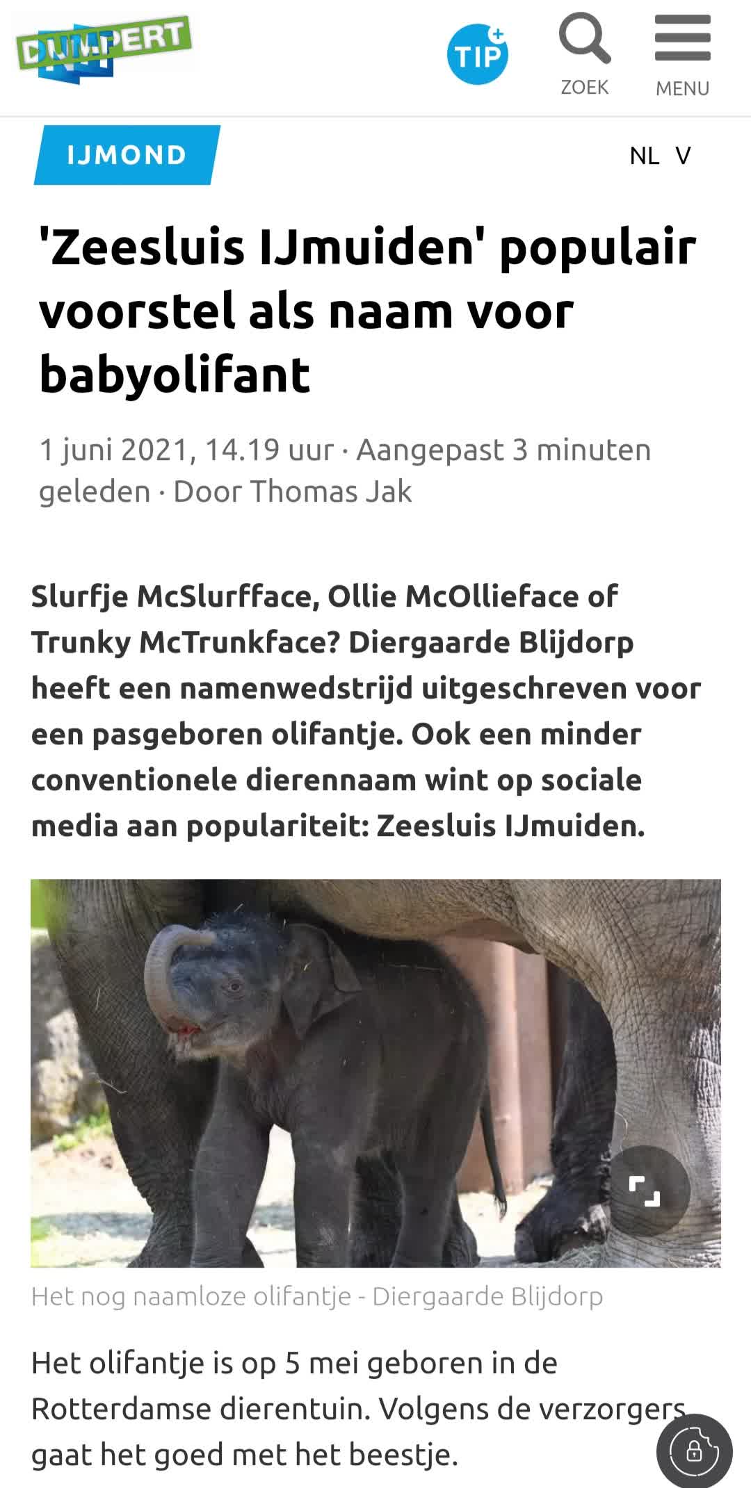 Namenwedstrijd olifant Blijdorp
