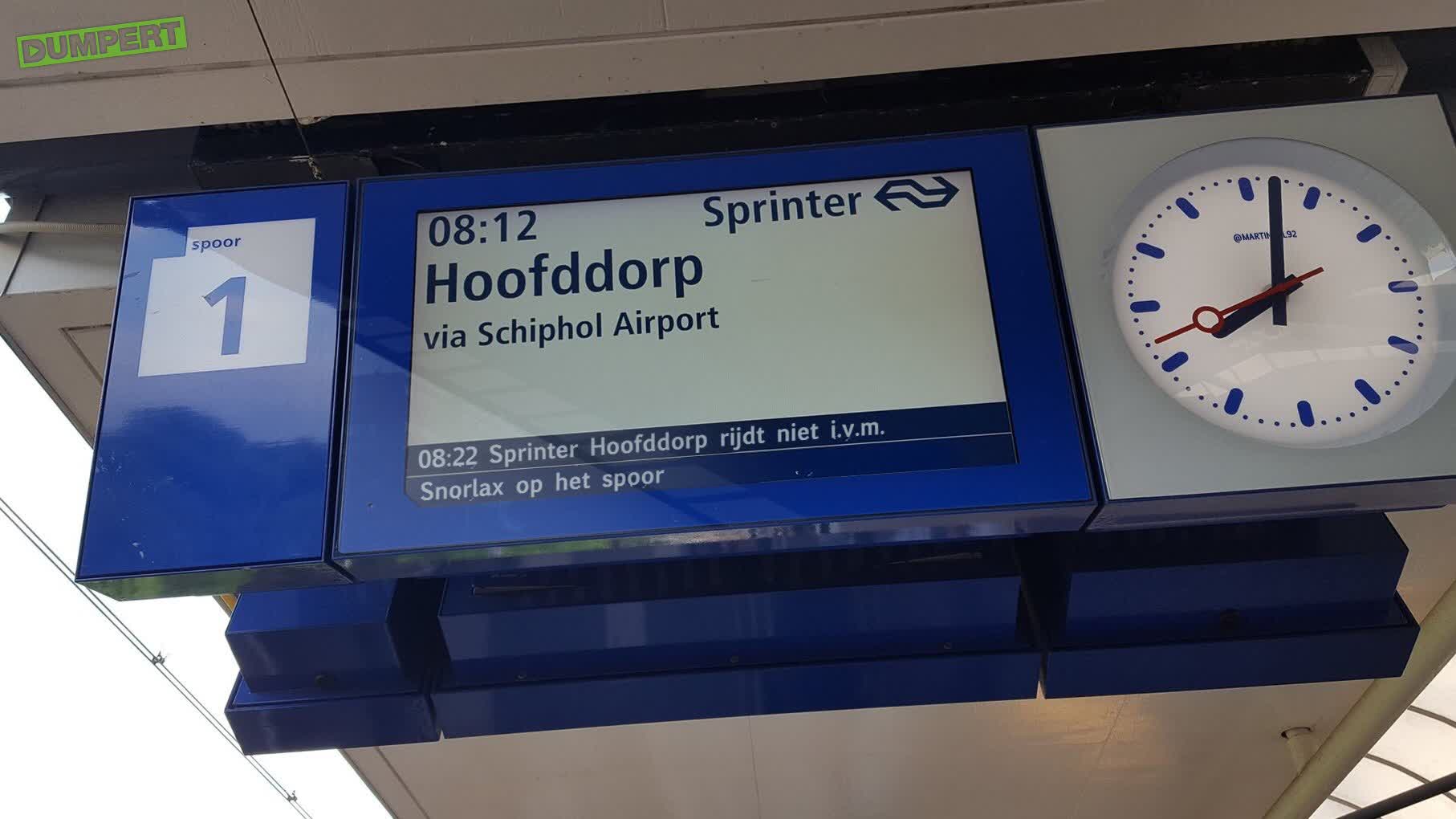 Nu is het wel klaar met dat Pokemon