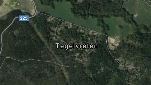 Rare jongens die Zweden