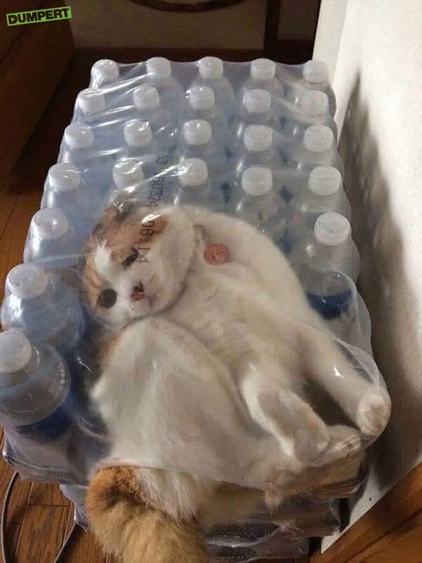 Water gekocht