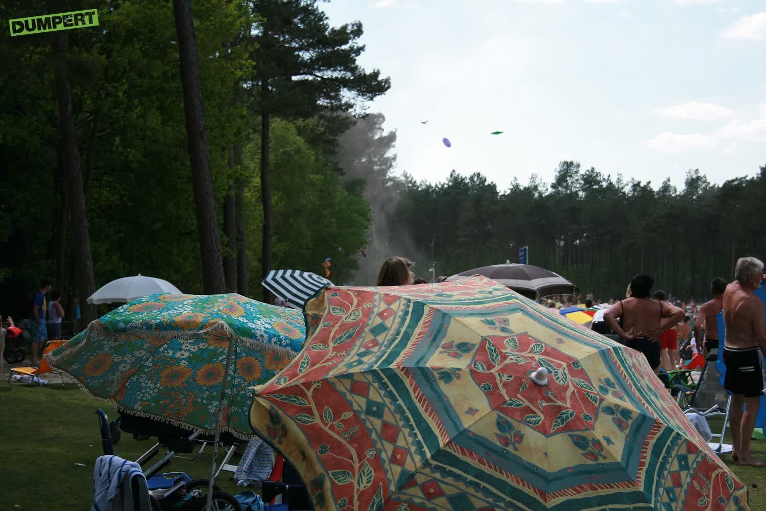 Wervelwind grijpt paarse krokodil!