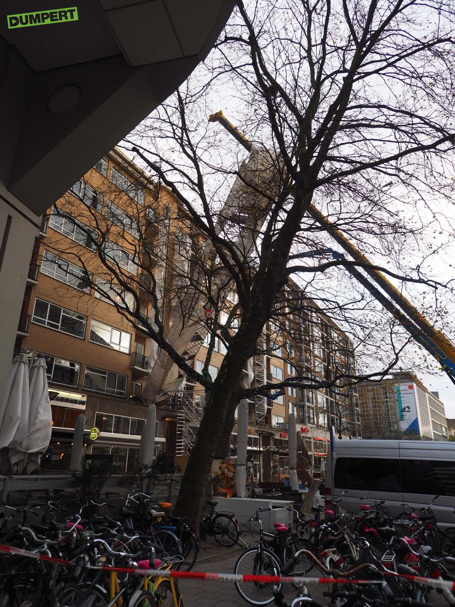 Natuur redt auto (2)