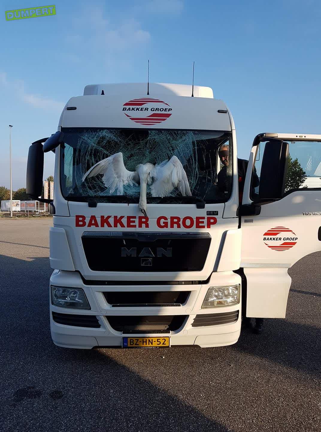 Mooi in het midden