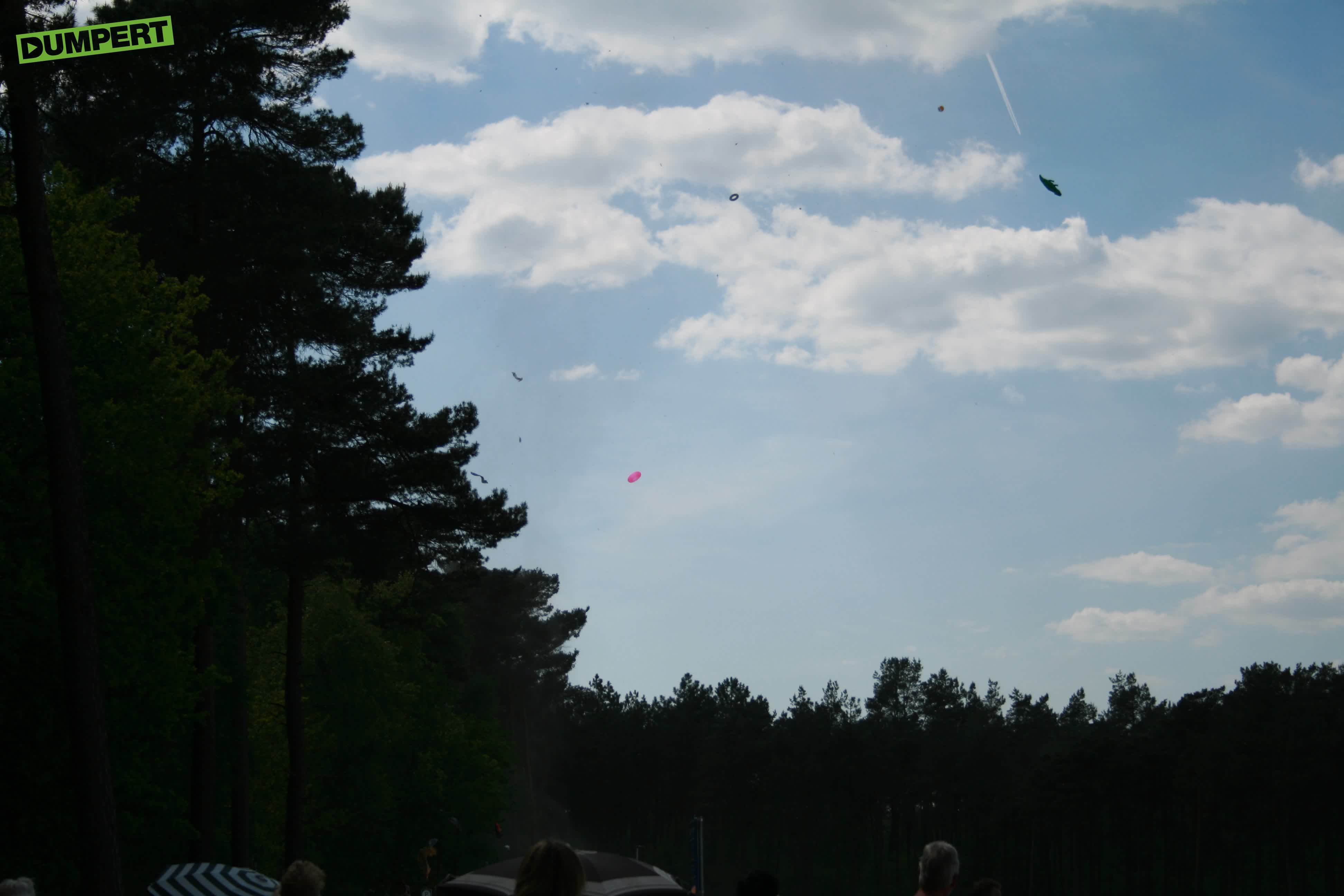 Wervelwind grijpt paarse krokodil!