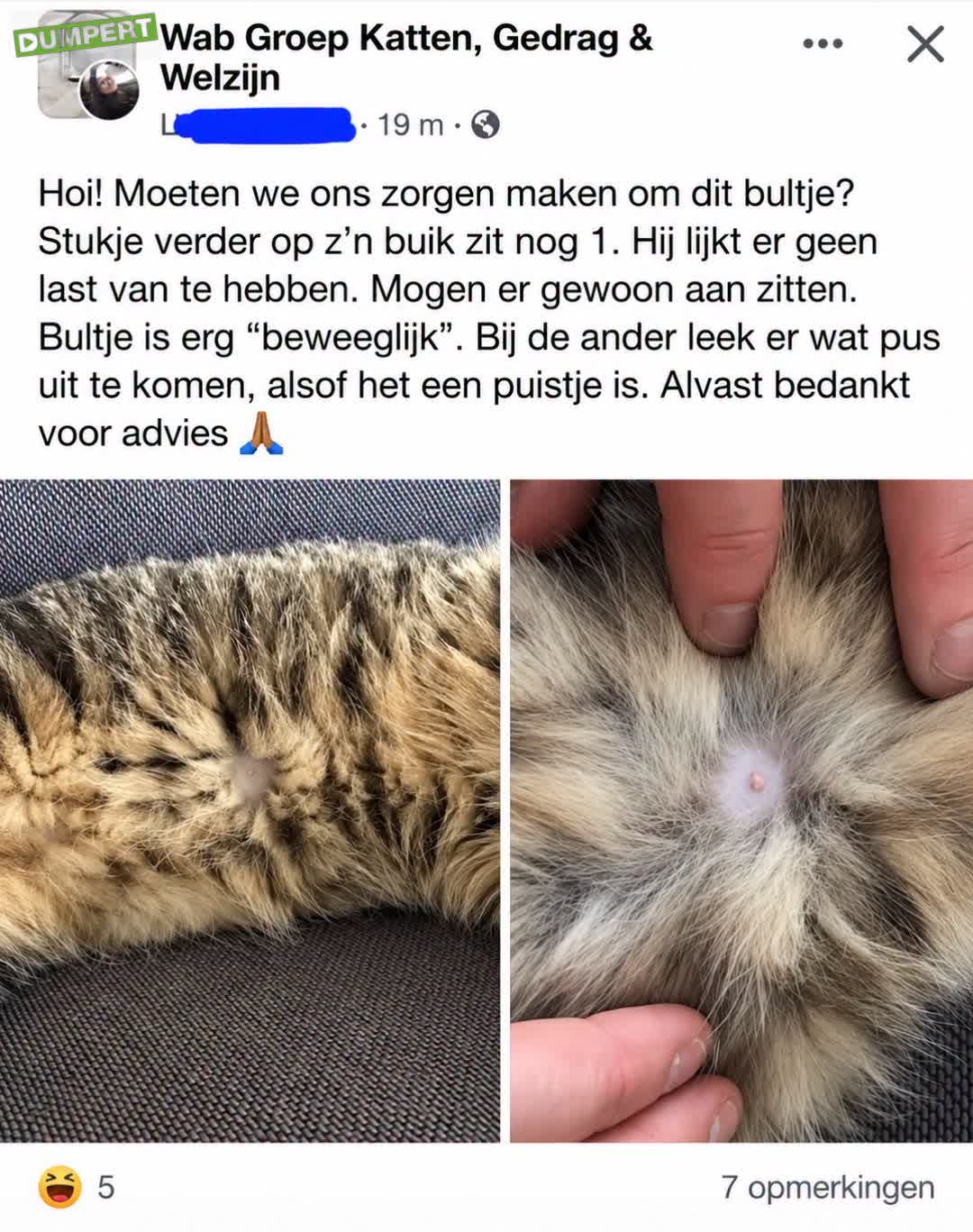 Vraagje aan de experts 
