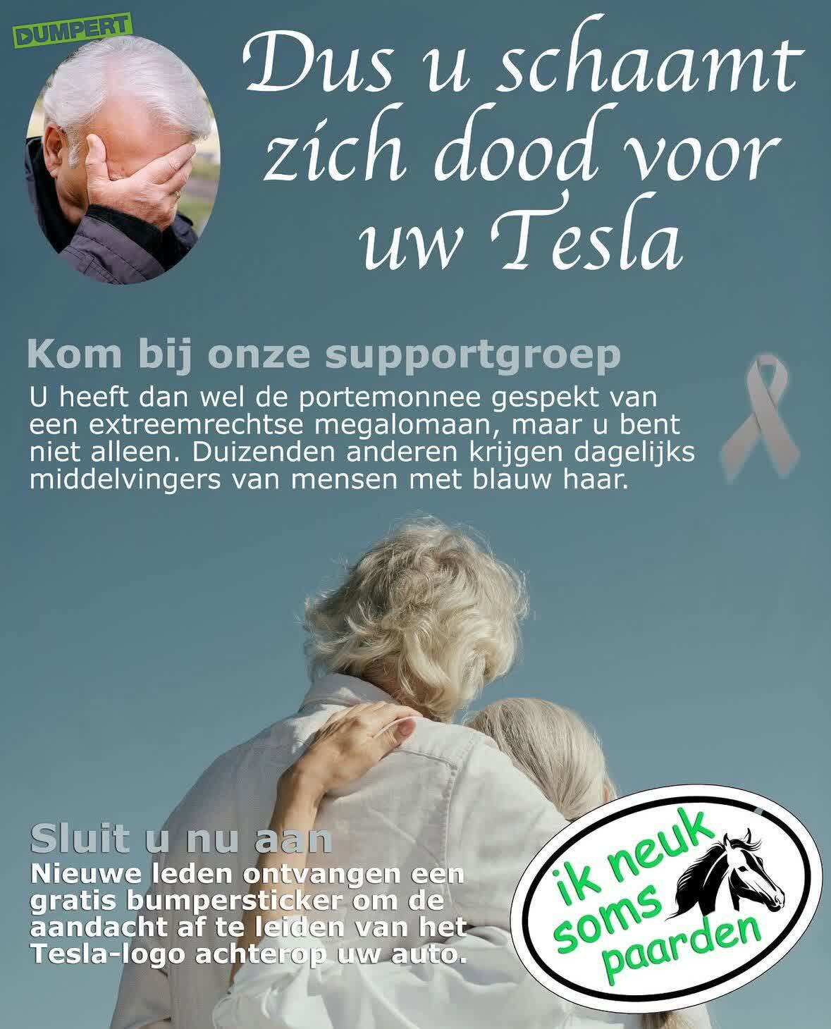Schaam je je voor je Tesla? 