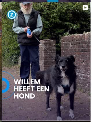 Komkommertijd in Zeeland