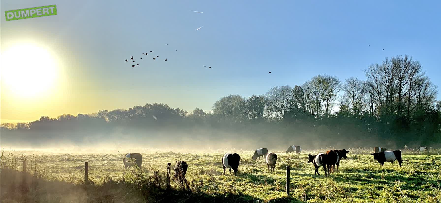 Nederland is mooi