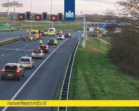 Dikke fik in Heinenoordtunnel