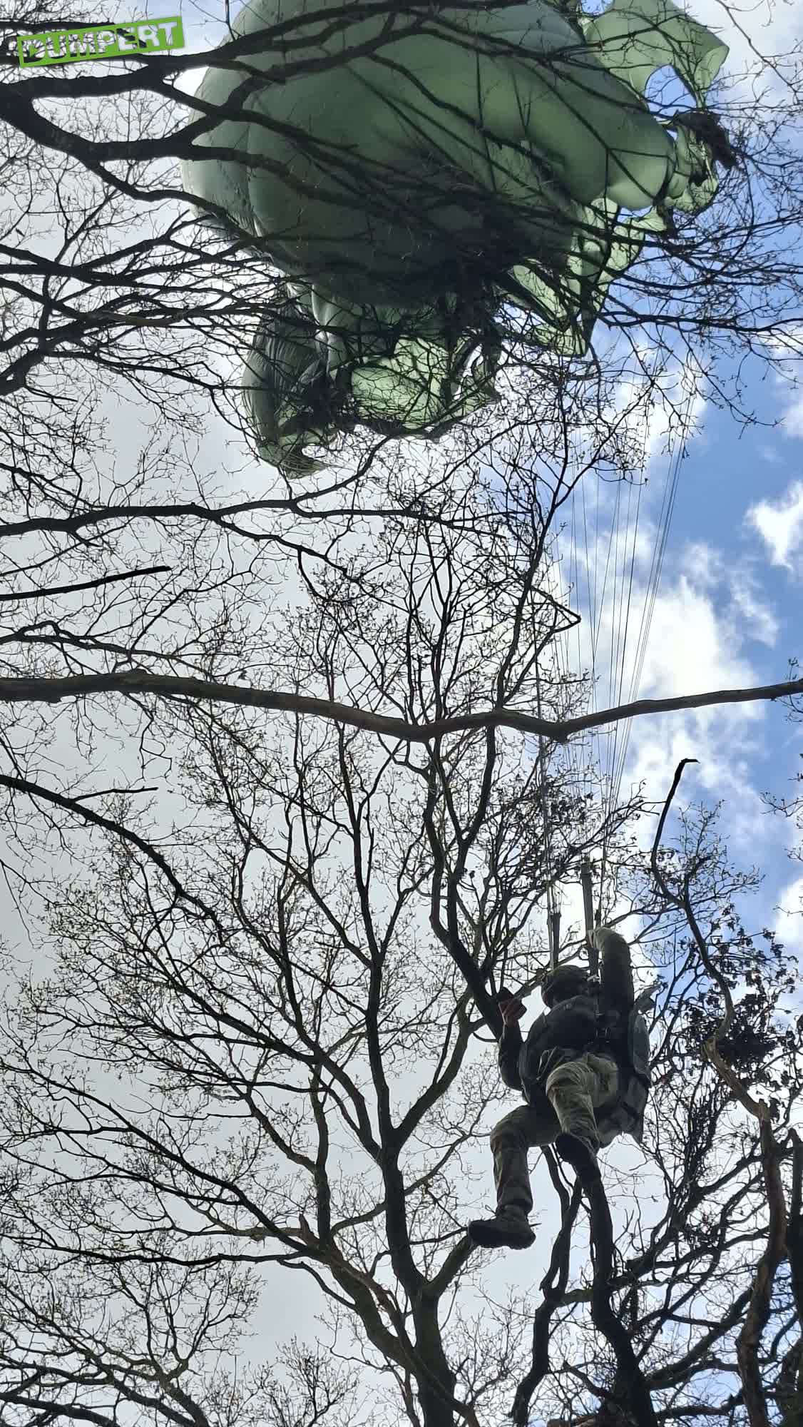 Parachutist in de boom