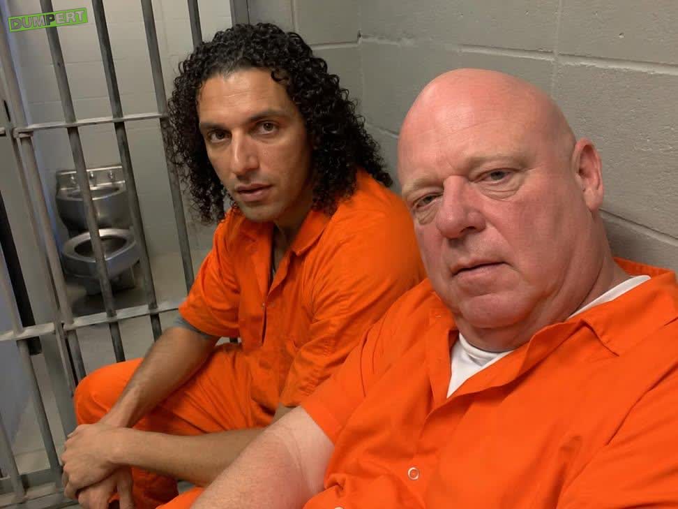De nieuwe roomies