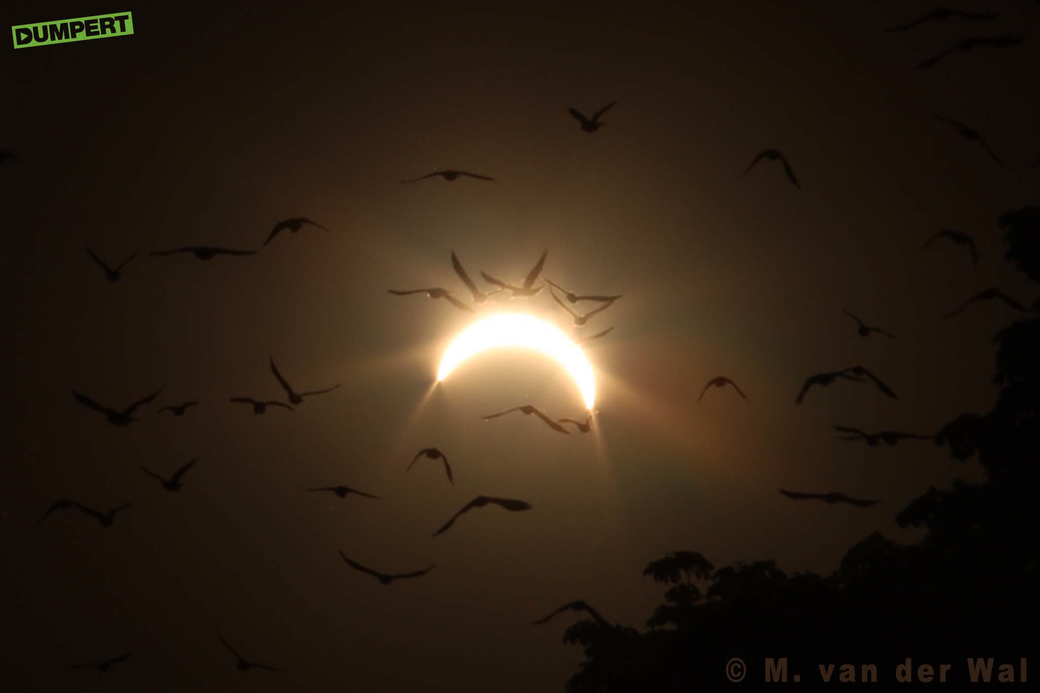 Zonsverduistering