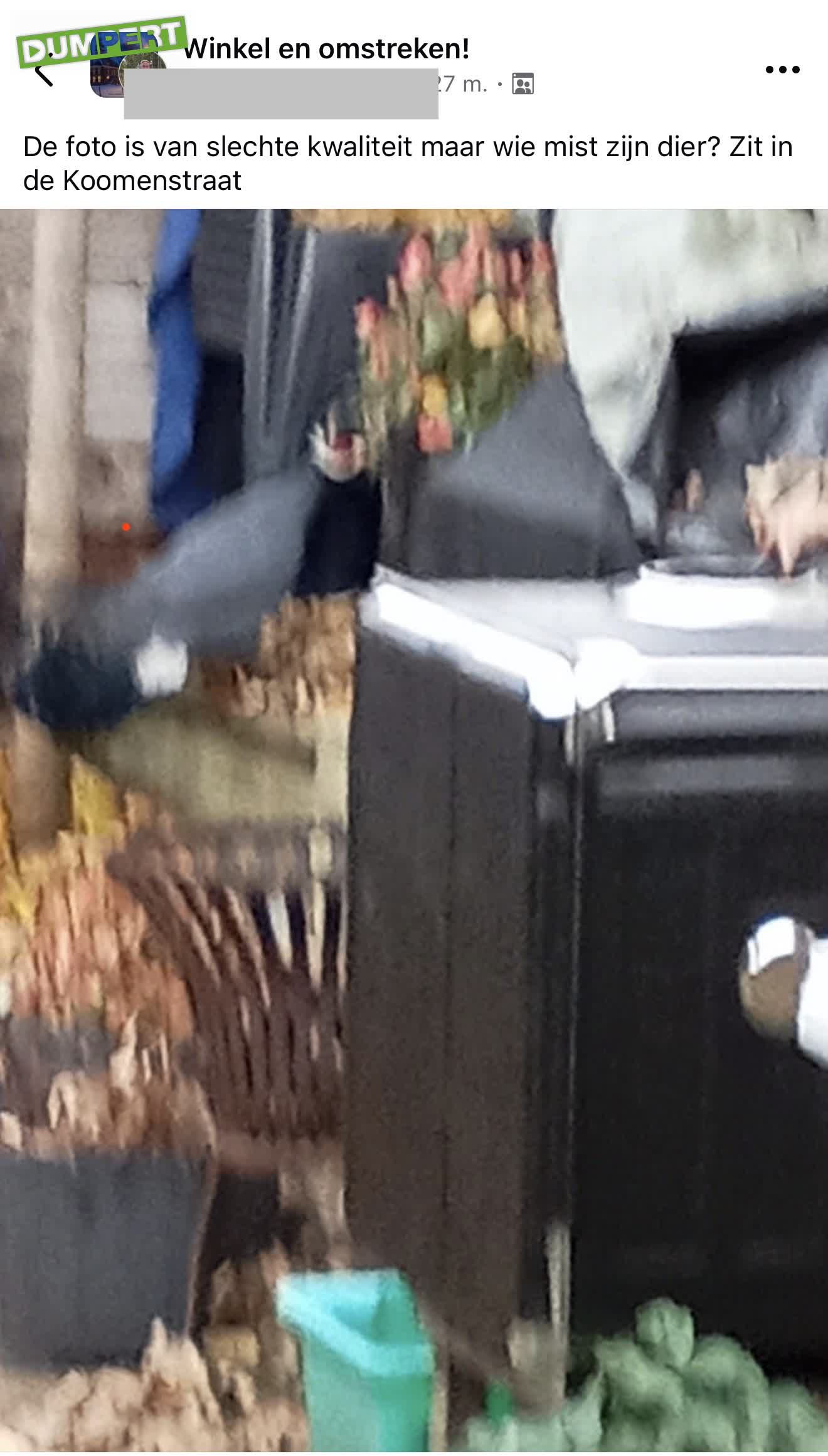 Hoi wie mist z’n dier?