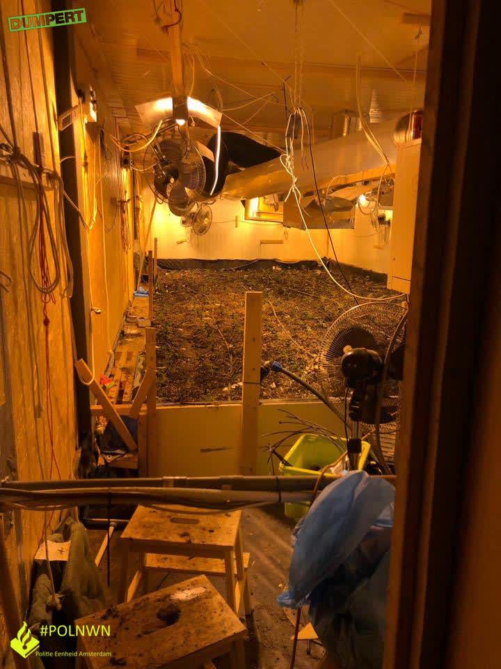 Wietplantage in keukenkast