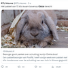 PostNL bezorger heeft haas(t), dumpt pakket op konijn