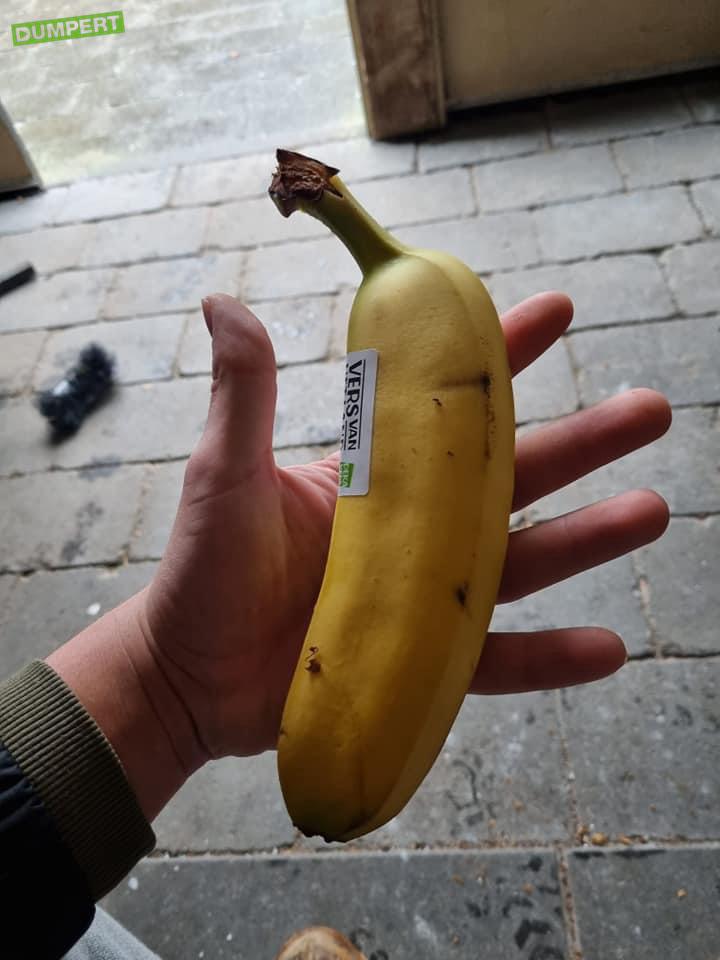 Een eeneiige tweeling banaan