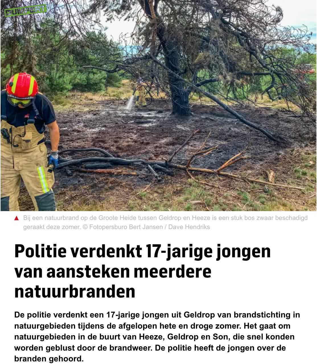17-jarig joch uit Geldrop steekt bossen in brand 