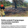 17-jarig joch uit Geldrop steekt bossen in brand 