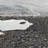 Check dit ijs in IJsland