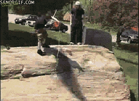 11 epic skateboard gifs