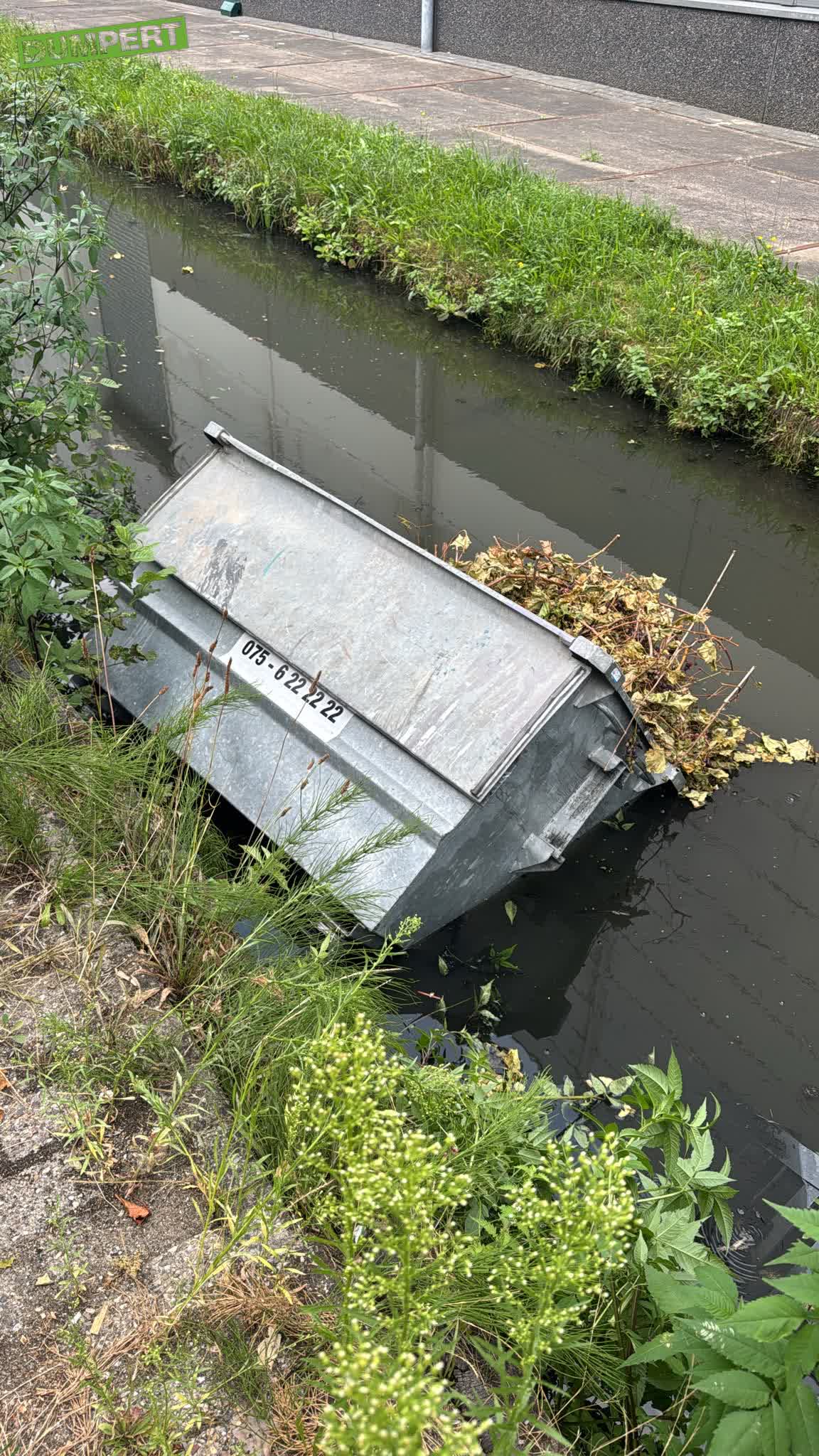 Druivenplant dumpen gaat fout