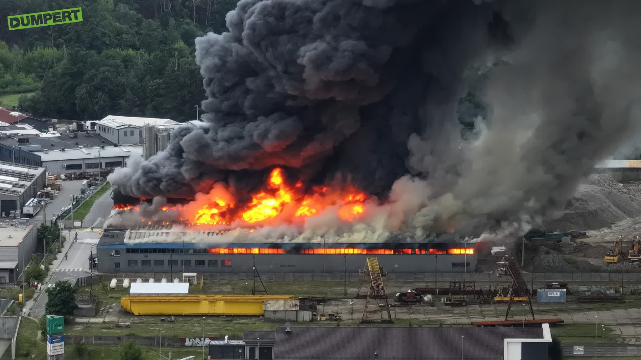 Grote fik in Minsku Mazowieckim, Polen